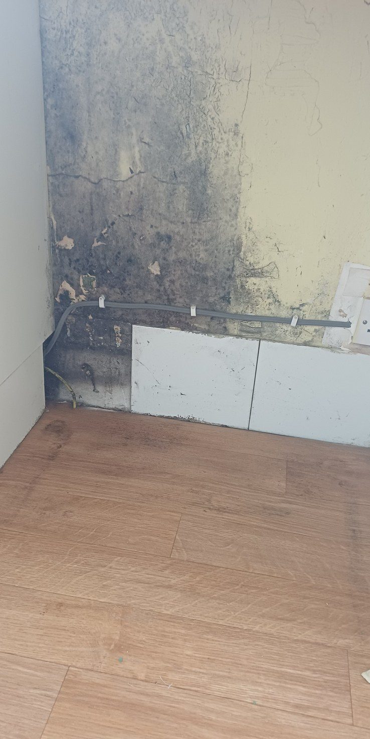 Black mould across a kitchen wall, found the moment the units came off.